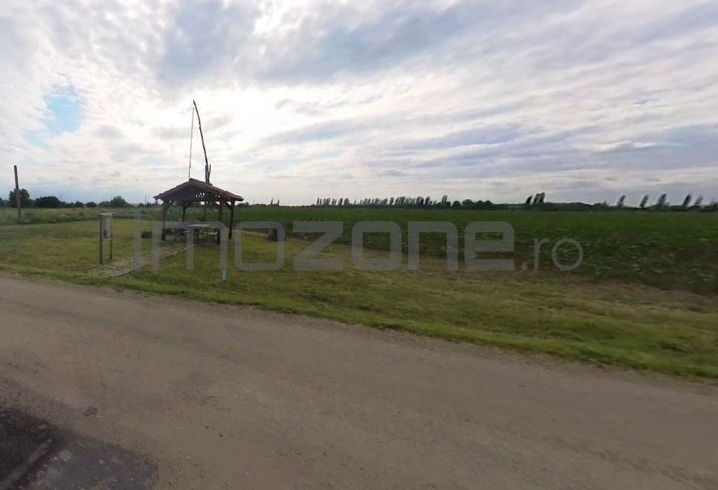 Teren | 21.000 mp | Moara Vlasiei | Caciulati | la cateva...