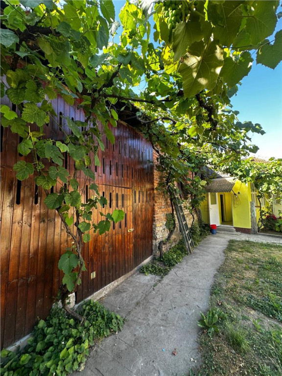 Reco Casa cu teren in Uileacul de Beius