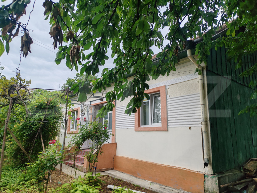 Casa batraneasca, teren 29 ari, Adancata