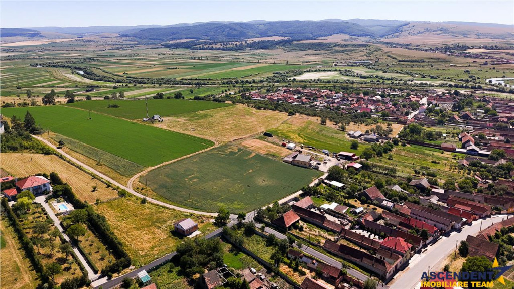 6 loturi casa Maierus,1.375mp,langa DN13, Doripesco,Brasov: