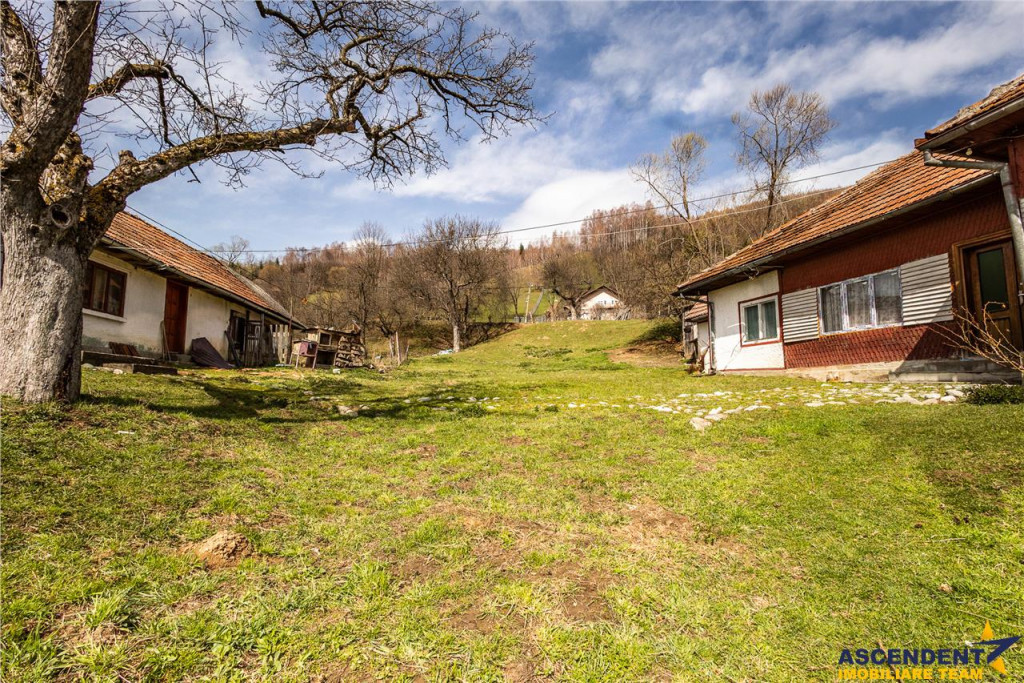 FILM! Rezidenta traditionala, peisagistica impresionata, dom