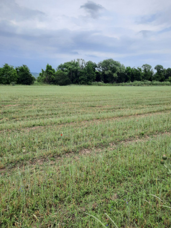 Teren extravilan de vânzare, 4900 mp, Boldești Scaieni