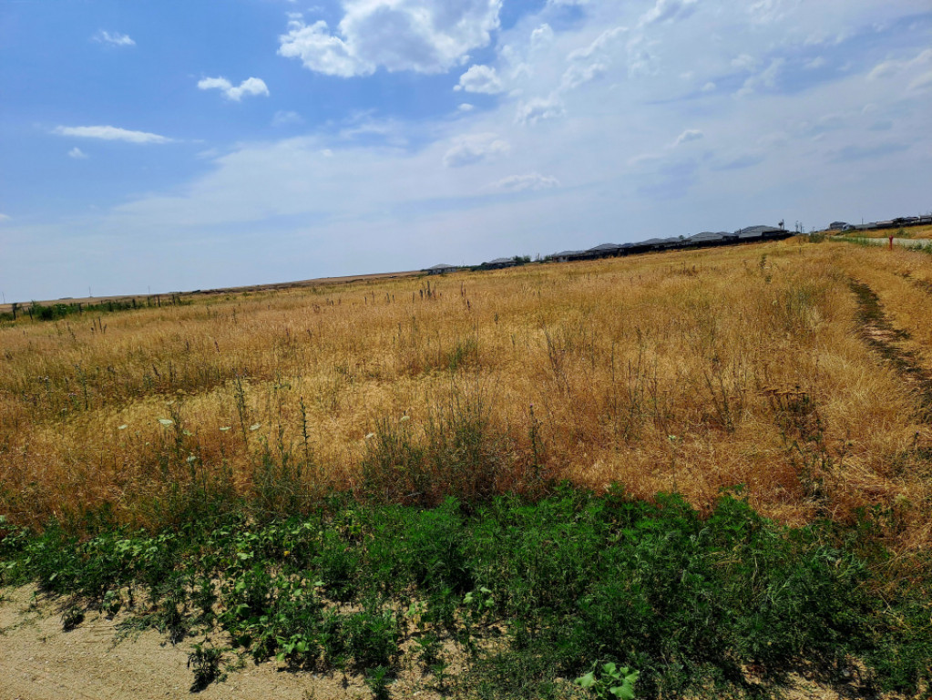 Teren intravilan Carcea , 415 mp , cu front stradal 14,78 m