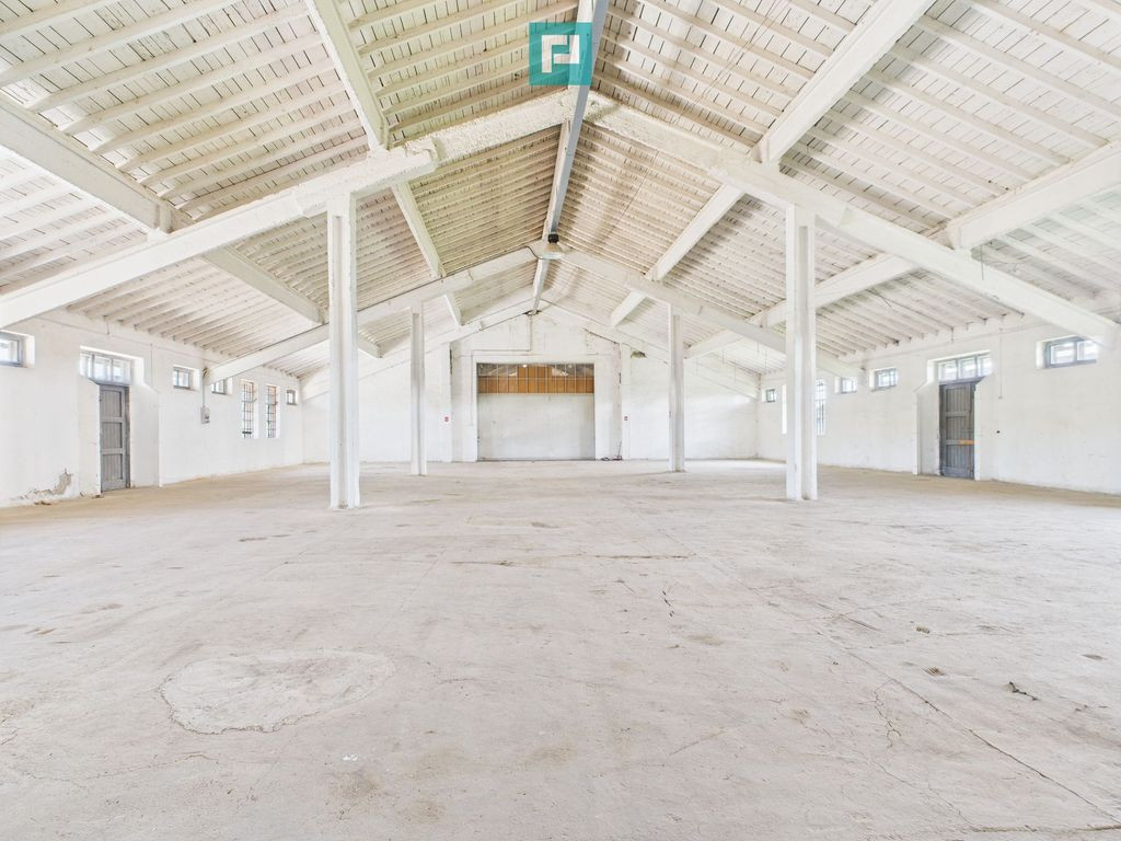 Hale 1800 mp fiecare – acces autostradă, Teiu, HD