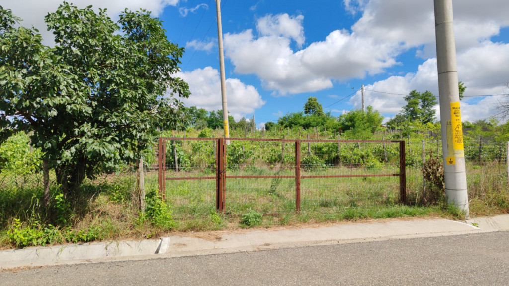 Teren Intravilan de inchiriat