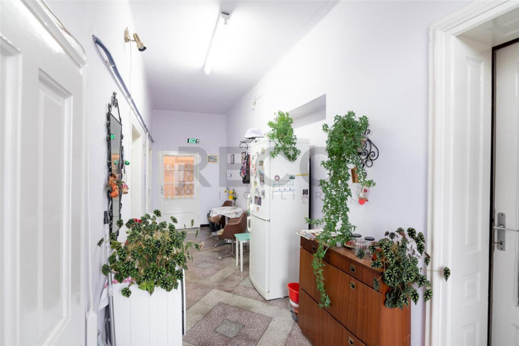 RECO Casa de zona Horia