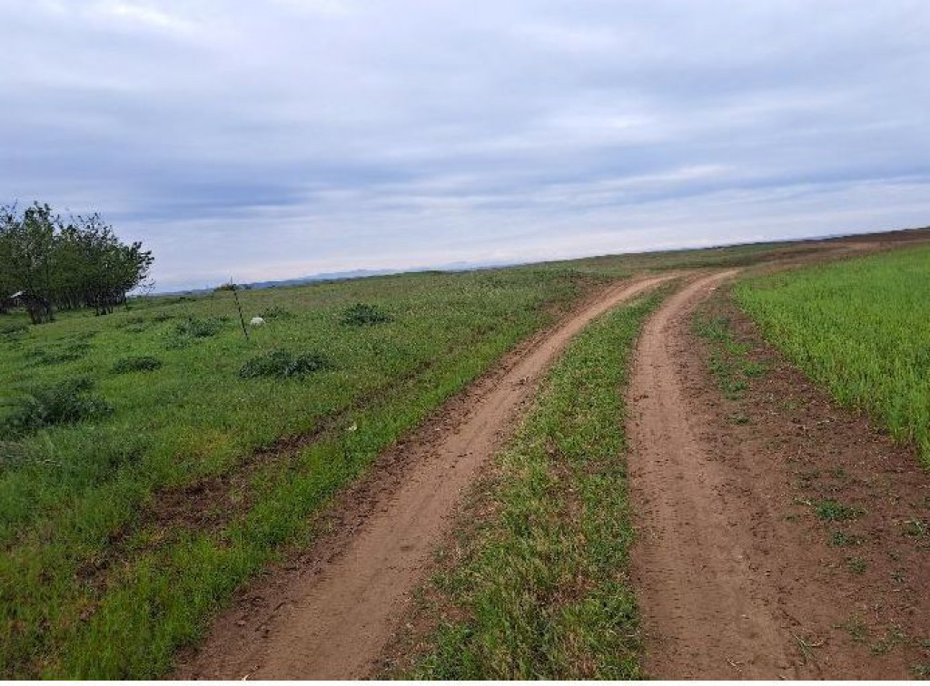 Teren extravilan, loc Densa, Jud Dolj