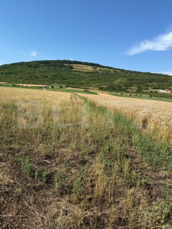 Teren intravin 2000 mp in Soimus