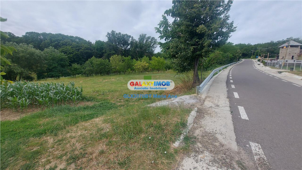 Teren intravilan 1734 mp. Ipotesti langa padure si lac!