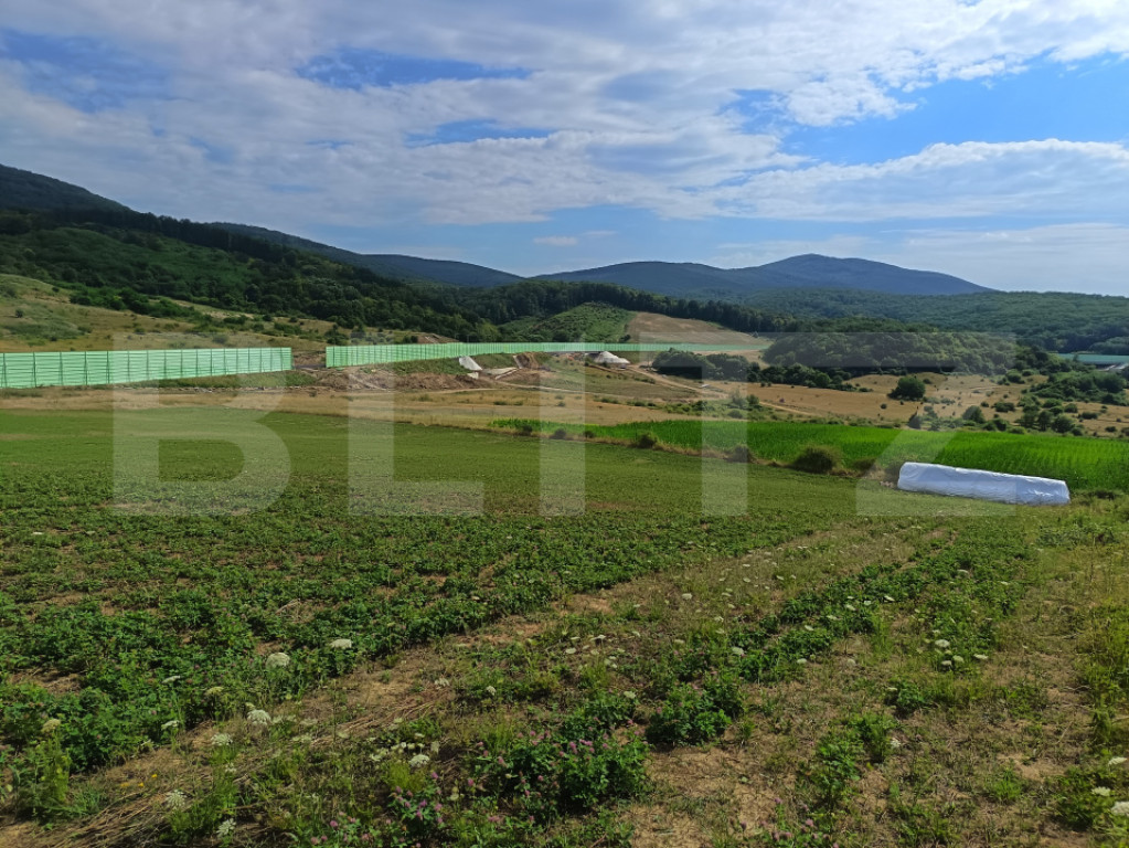 Teren extravilan, de vanzare, 6500 mp, zona Crasnei