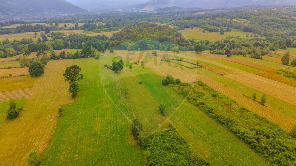 Teren extravilan 8,439mp Sinca Noua /Comision 0 %