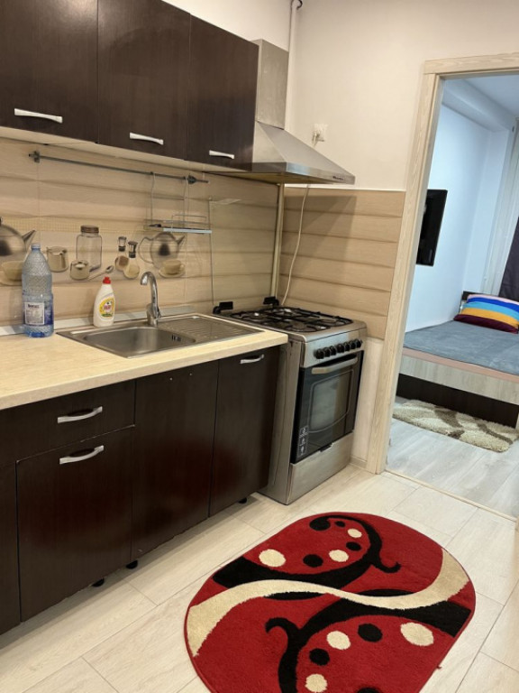 Garsoniera ( Balcon Parter )-Sebastian