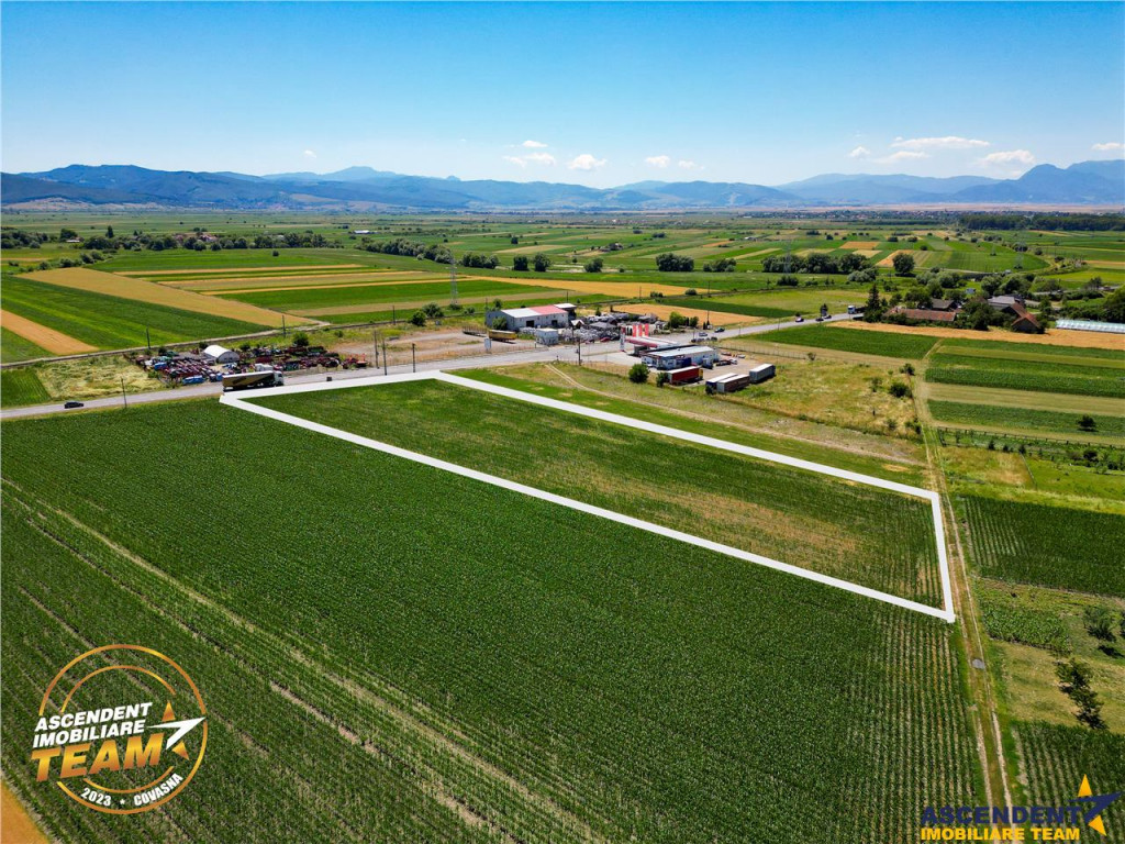 8.400mp, la DN12, cu Certificat Urbanism, teren intravilan,