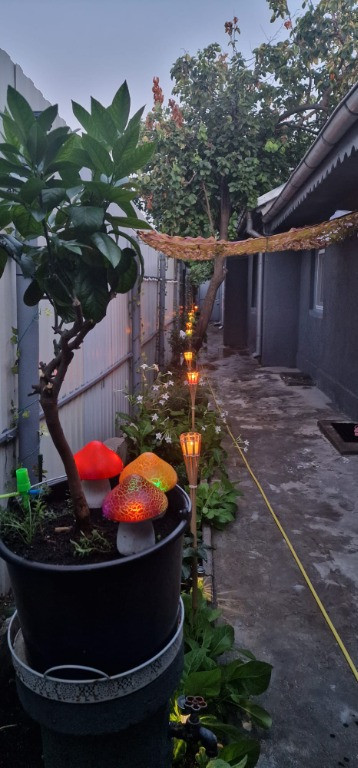 Casa zona P-ta Saraca