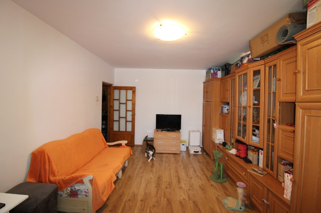 Apartament cu 2 camere in I C Frimu