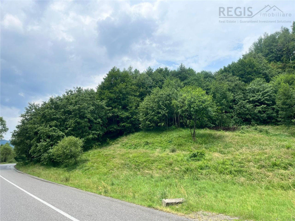 TEREN INTRAVILAN DEOSEBIT, ZARNESTI, VALEA BARSEI