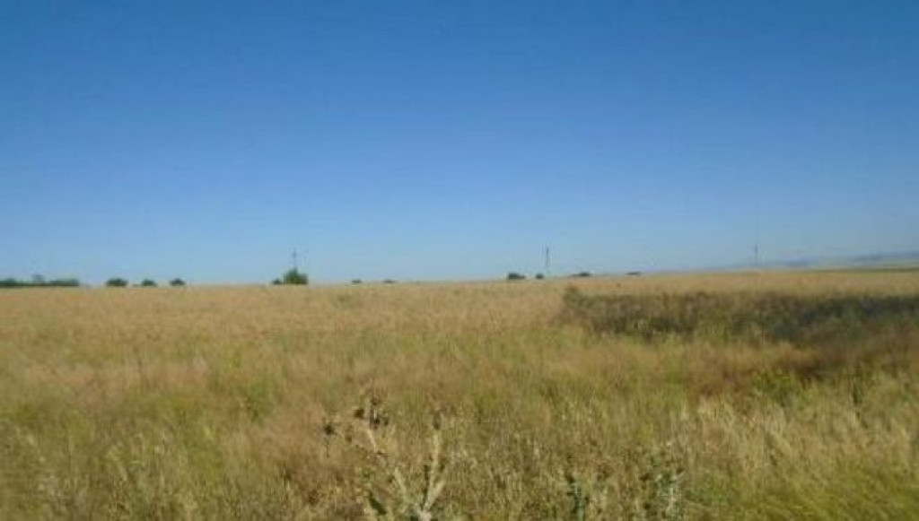 Teren Extravilan Galbenu, cota parte 1/2, ID: R2639994