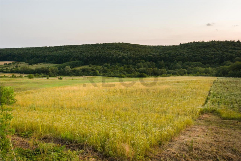 RECO Teren extravilan 11500 mp -Lazareni