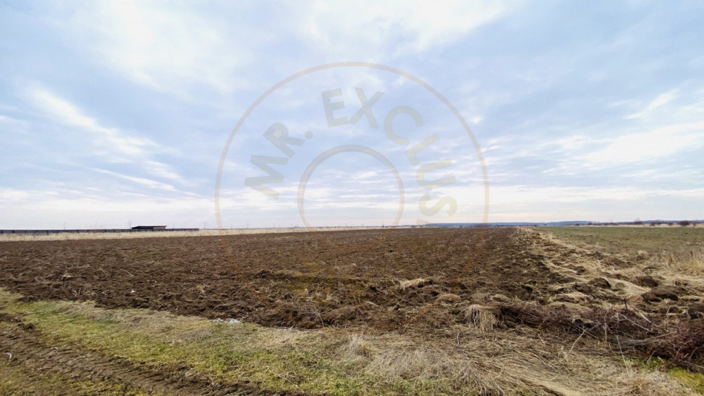 Teren 8973 mp intravilan loc. Albota, jud. Arges. Comision 0