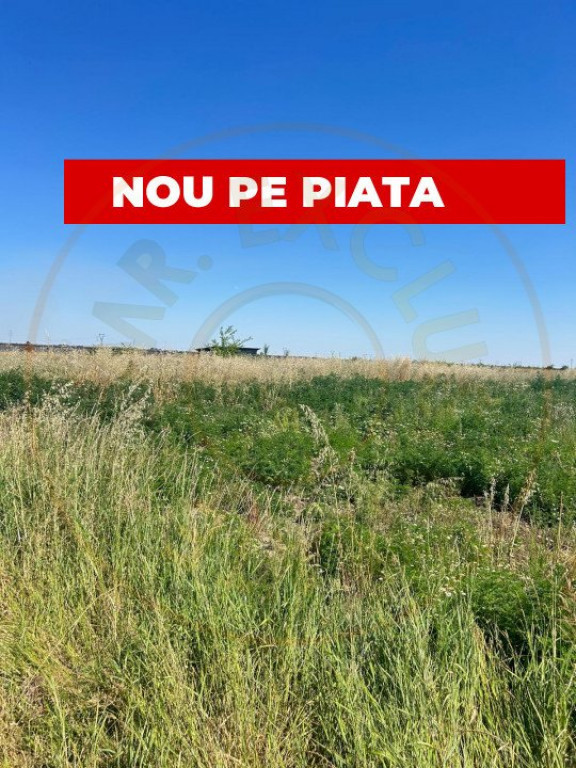 Teren intravilan 8.973 mp Loc. Albota -RESTAURANT LUXOR Arge