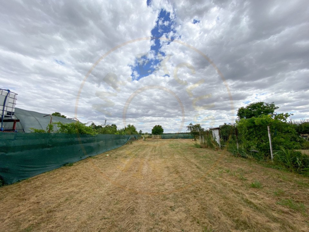 Teren intravilan 1412 mp, Ciofliceni – Ilfov