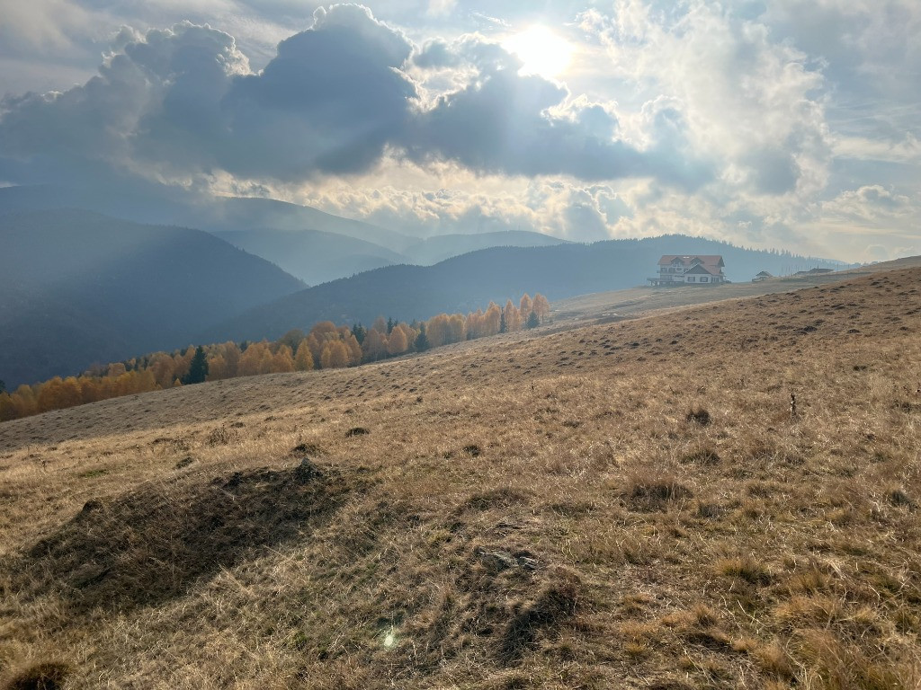 Teren de vânzare –ideal pentru cabană – Zona Vălari, Păltiniș(6131 m)