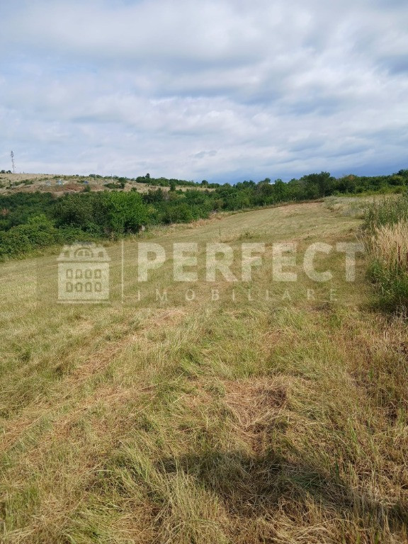 Teren 5590 mp INTRAVILAN Baicoi pret 17 euro/mp