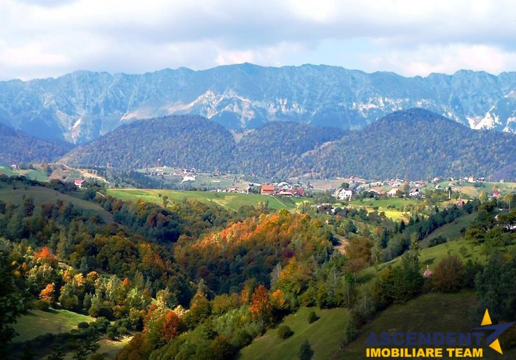 Incantare montana, documentie la zi, deschis si la plata in