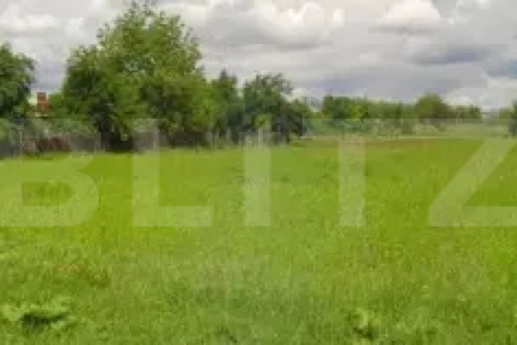 Teren extravilan la principala Calea Lugojului 5000 mp