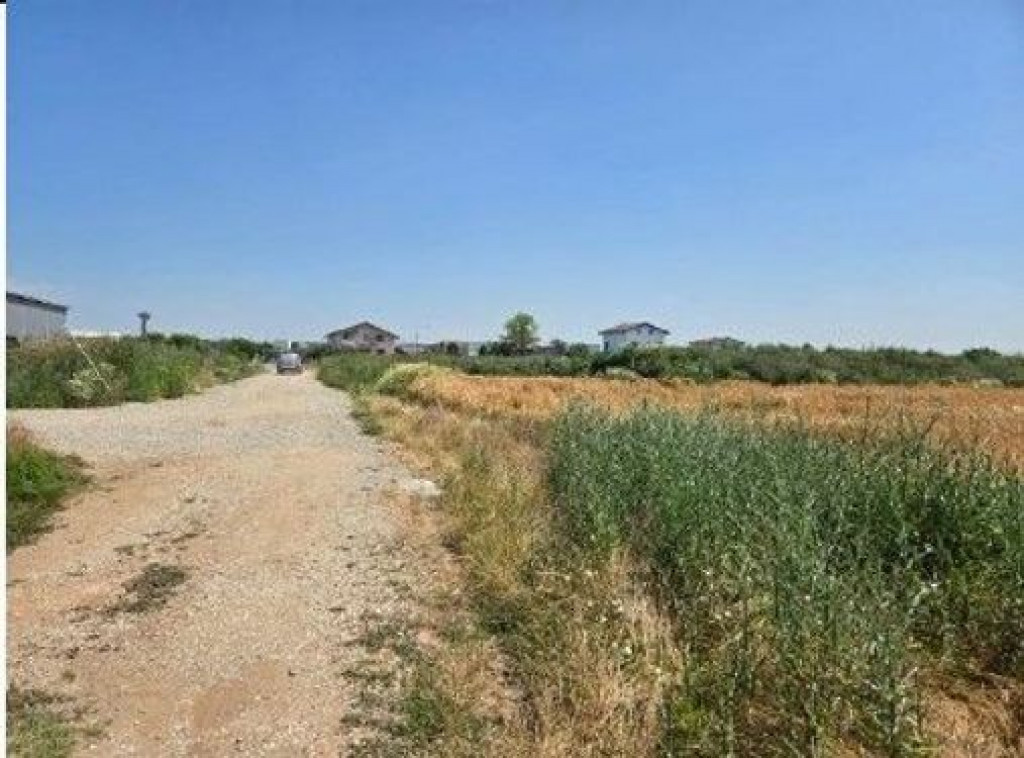 Teren extravilan cota parte 1/2, Magurele, ID: R2641535