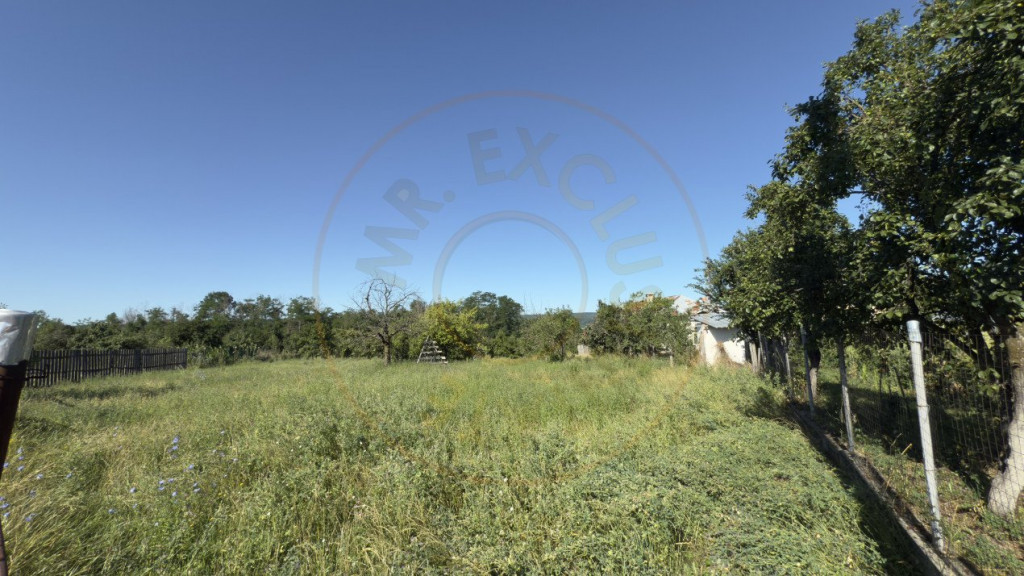 Teren generos de 1350 mp Budeasa Galasesti -Arges!