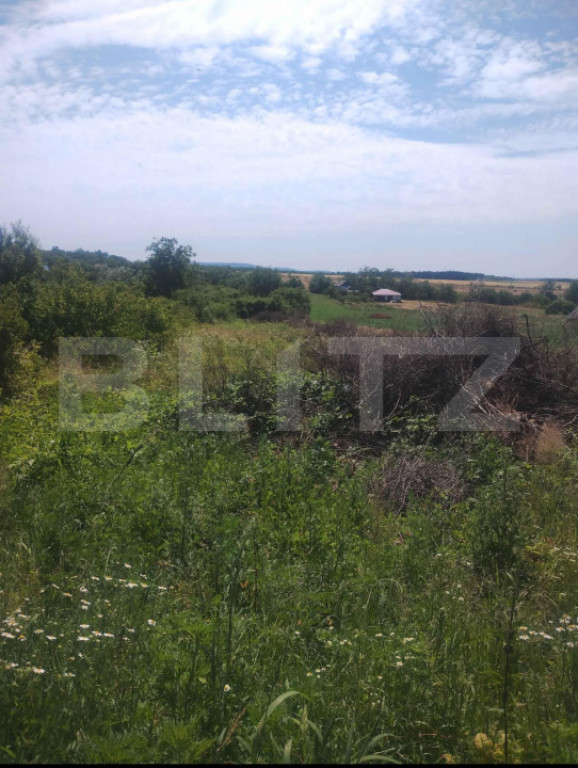 Teren intravilan Ardud Vii