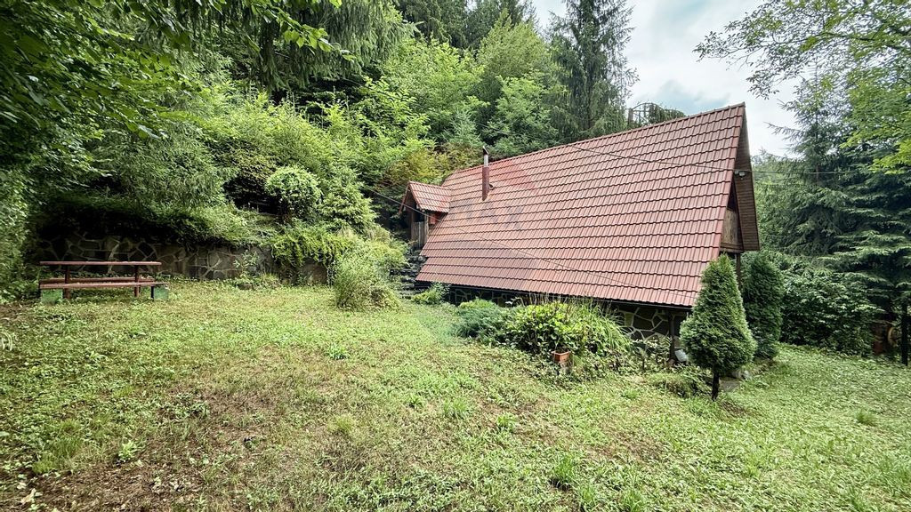 Cabana de lemn zona Barajului Firiza