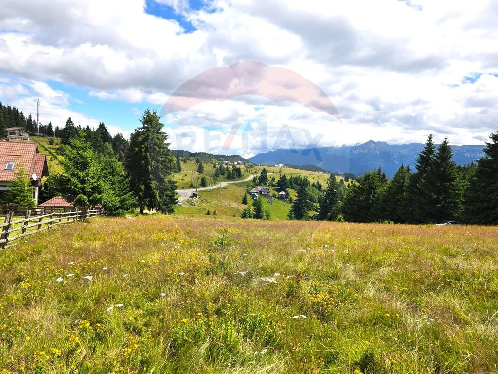 Teren de vis în Fundata 1934mp sau 3868mp, la înălțim...