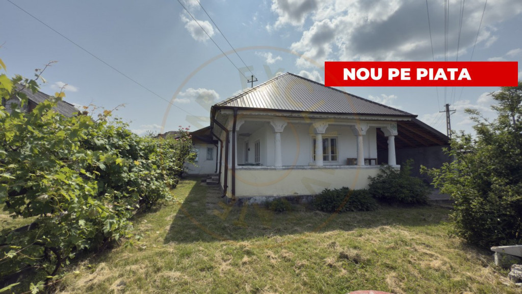 Casa traditionala -Rachitele de Jos, dealul Bogdanului com.C