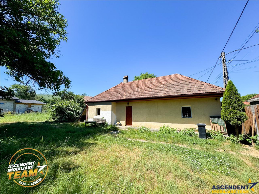 FILM Tur 3D! Casa cu gradina, pomi fructiferi, fantana, Zago