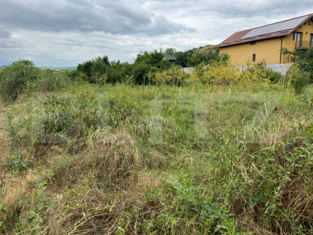 Teren 2100 mp, intravilan, zona Turda Noua!