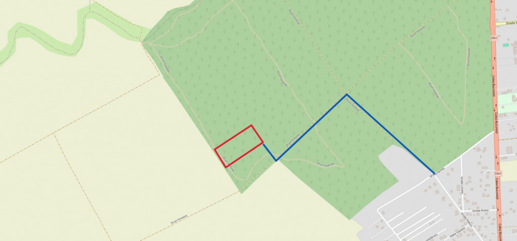 Padure 28.000mp - Saftica - 2e/mp - INVESTITIE - cel mai MIC