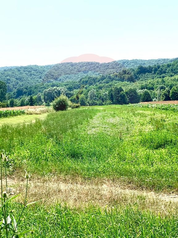 Teren 4,006mp Capul Piscului / Strada Principala