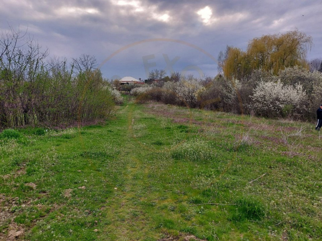 Teren Topoloveni - 3670 mp - langa padure, aproape de Centru