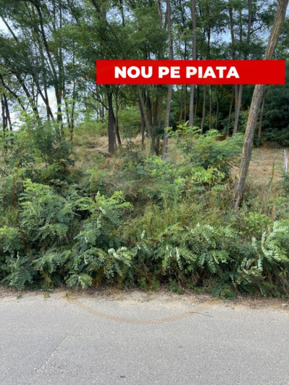 Teren 912 mp Hintesti panorama superba la padure