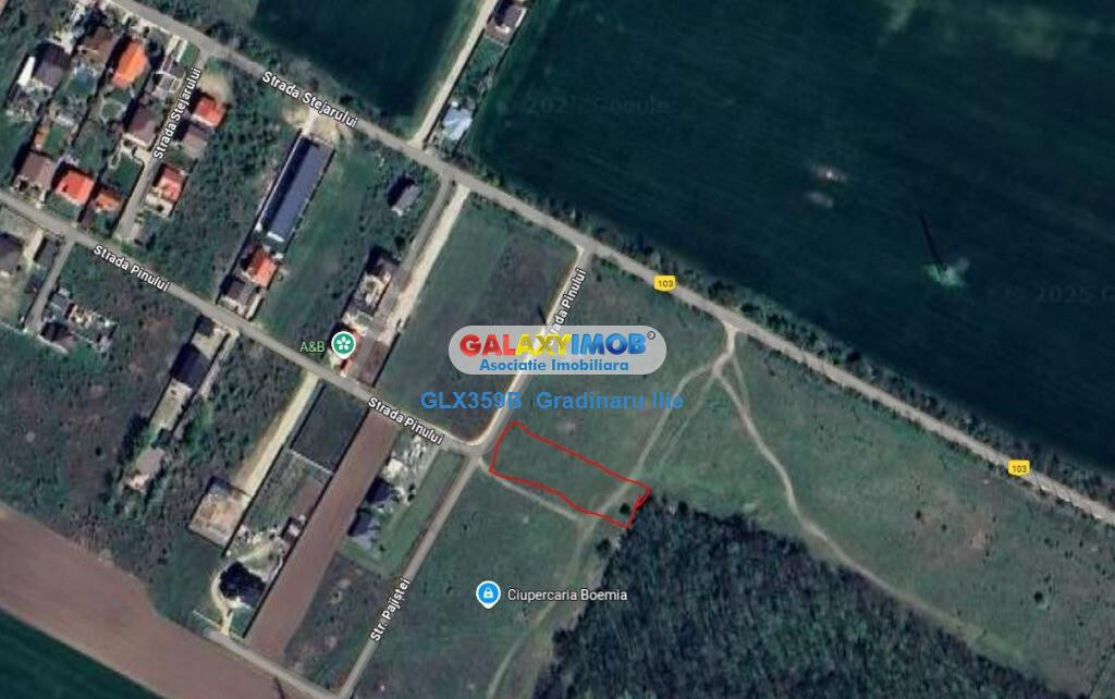 Teren 2000 mp in Magurele Ilfov