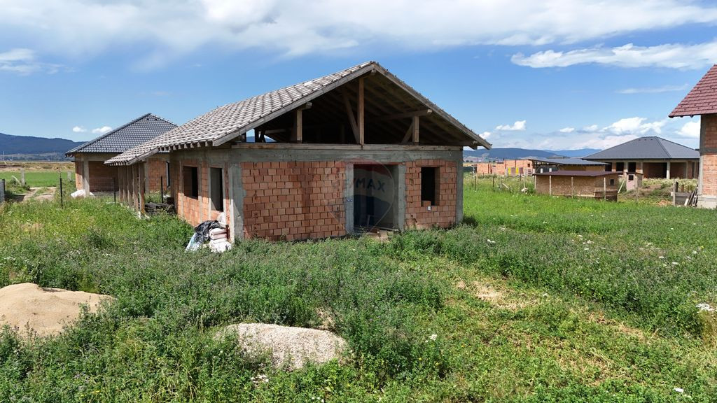 Comision 0! Casă cu 3 camere la rosu Cristian !