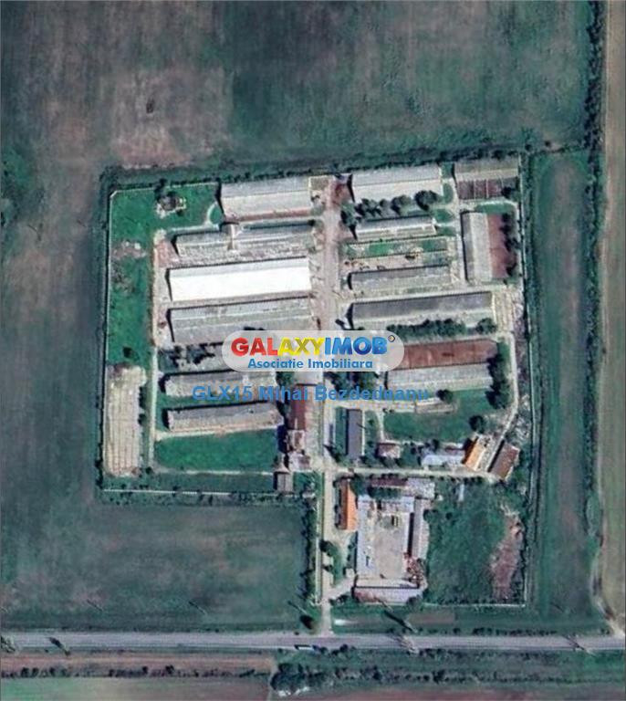 Ferma zootehnicaFunctionala zona Tomsani