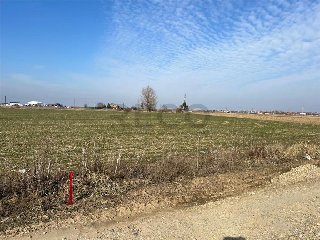 RECO TEREN INTRAVILAN IN NOJORID ZONA INDUSTRIALA 5985MP