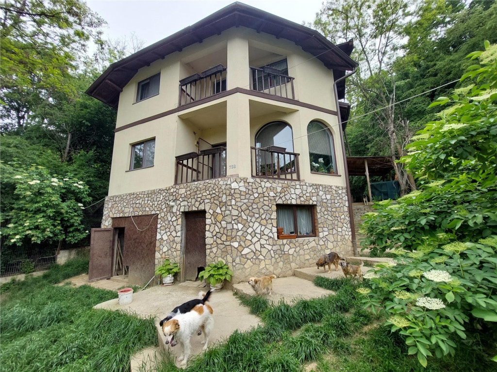 Casa tip D P 1, SISTEM AMVIC, teren 1000 mp, Sarata Monteoru