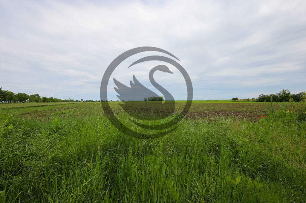 Teren de vanzare in Manesti, Prahova | 18.000 mp | Deschi...