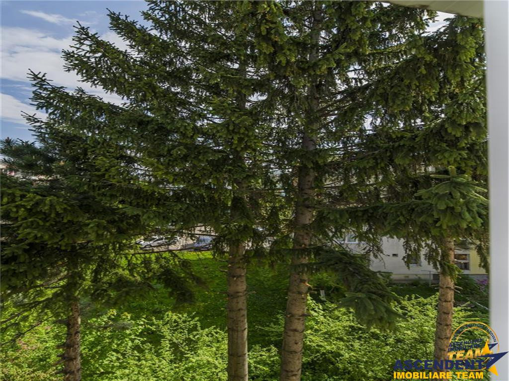 Decomandat, incadrat de verde, Astra, Brasov