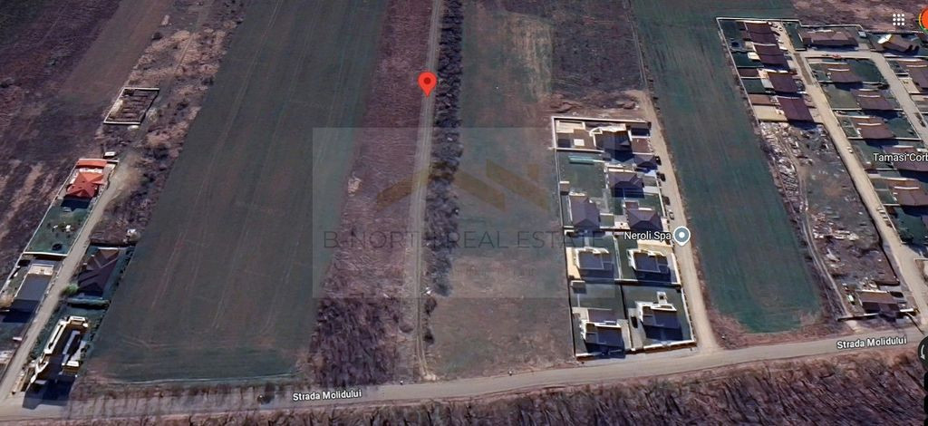 Teren 600 mp str Molidului langa padure