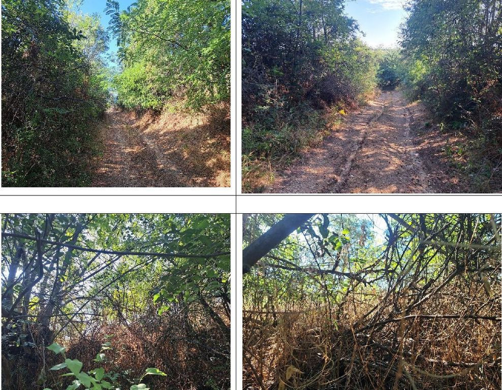 Cota de 3/4 din teren 1700 mp, loc. Bucovăț. Jud Dolj